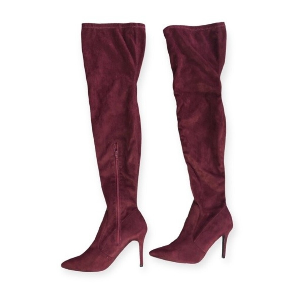 Herstyle Gabrianna Thigh High Suede Pointy Toe Stiletto Heel Boot